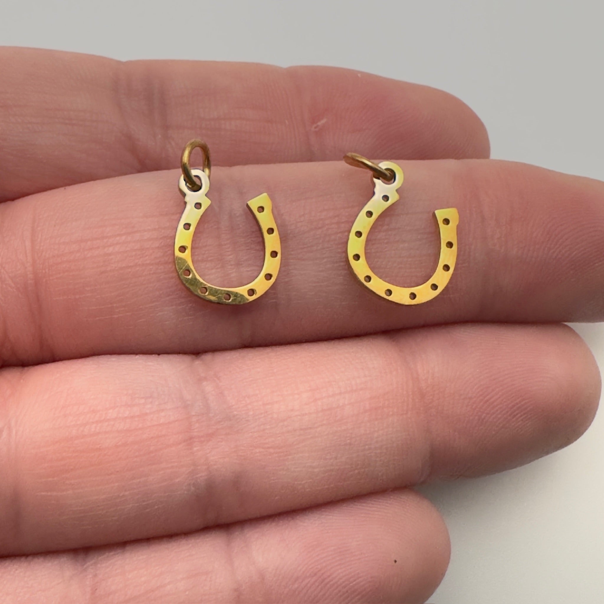 Horseshoe Charm