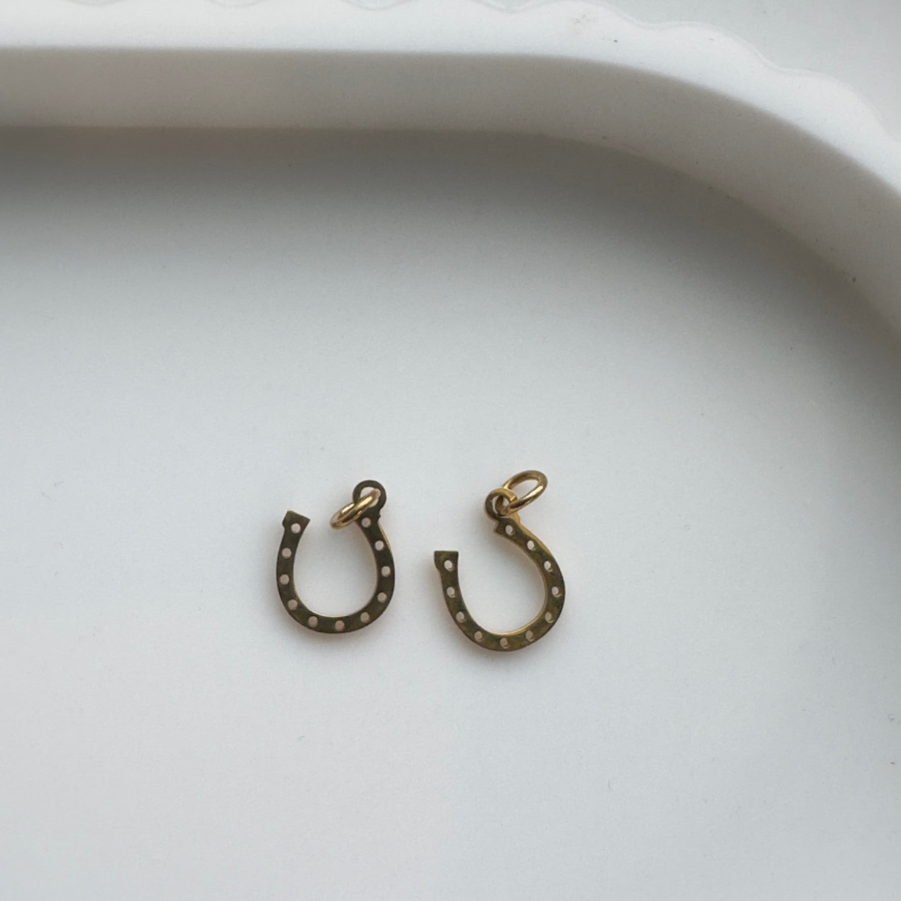 Horseshoe Charm