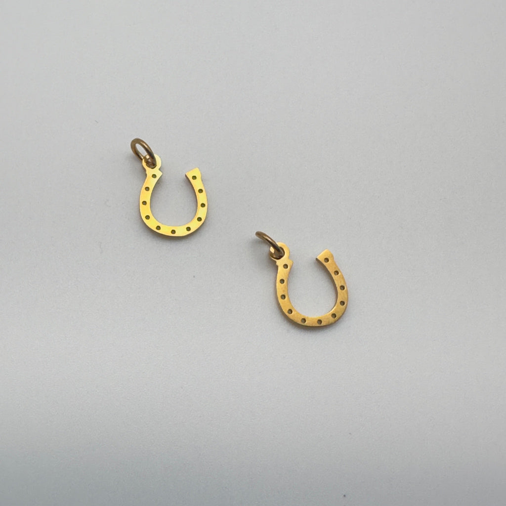 Horseshoe Charm
