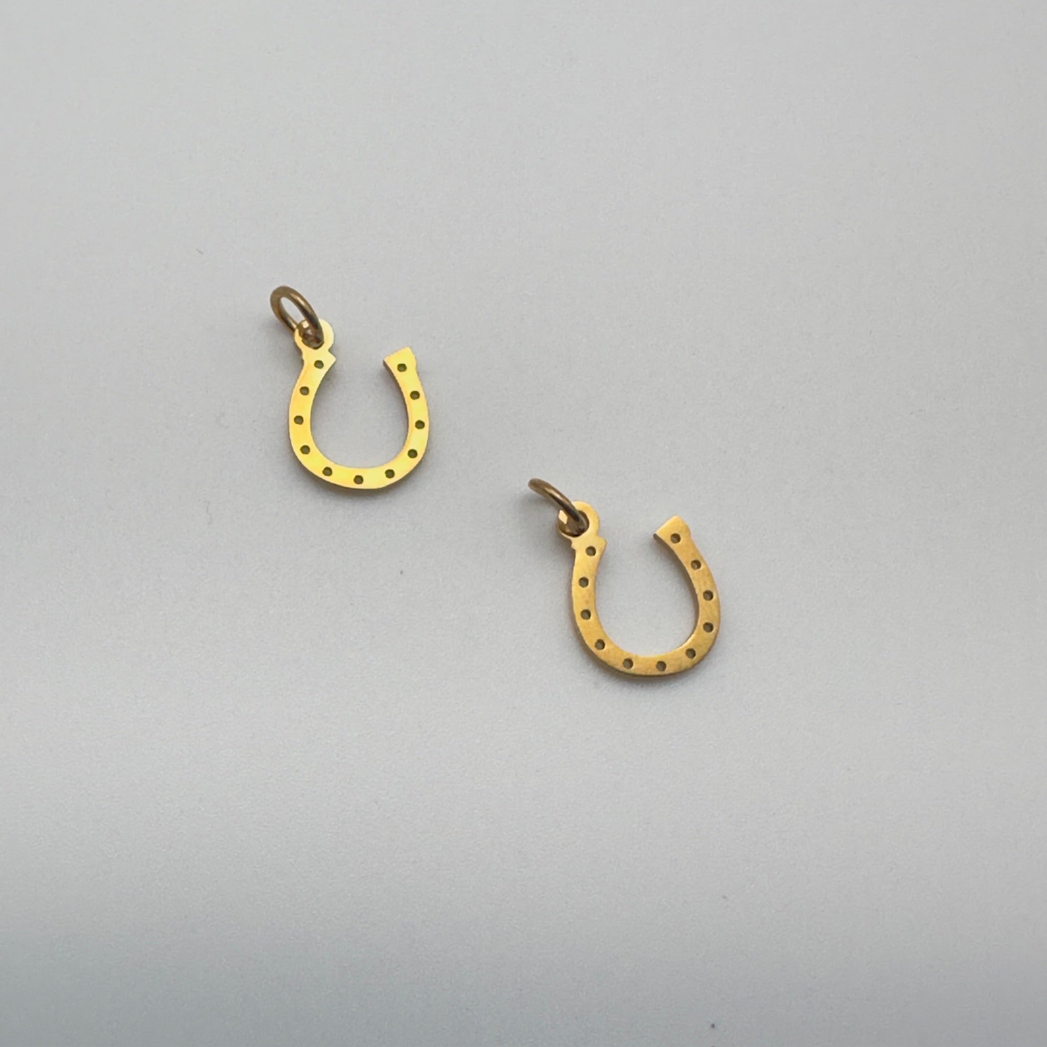 Horseshoe Charm