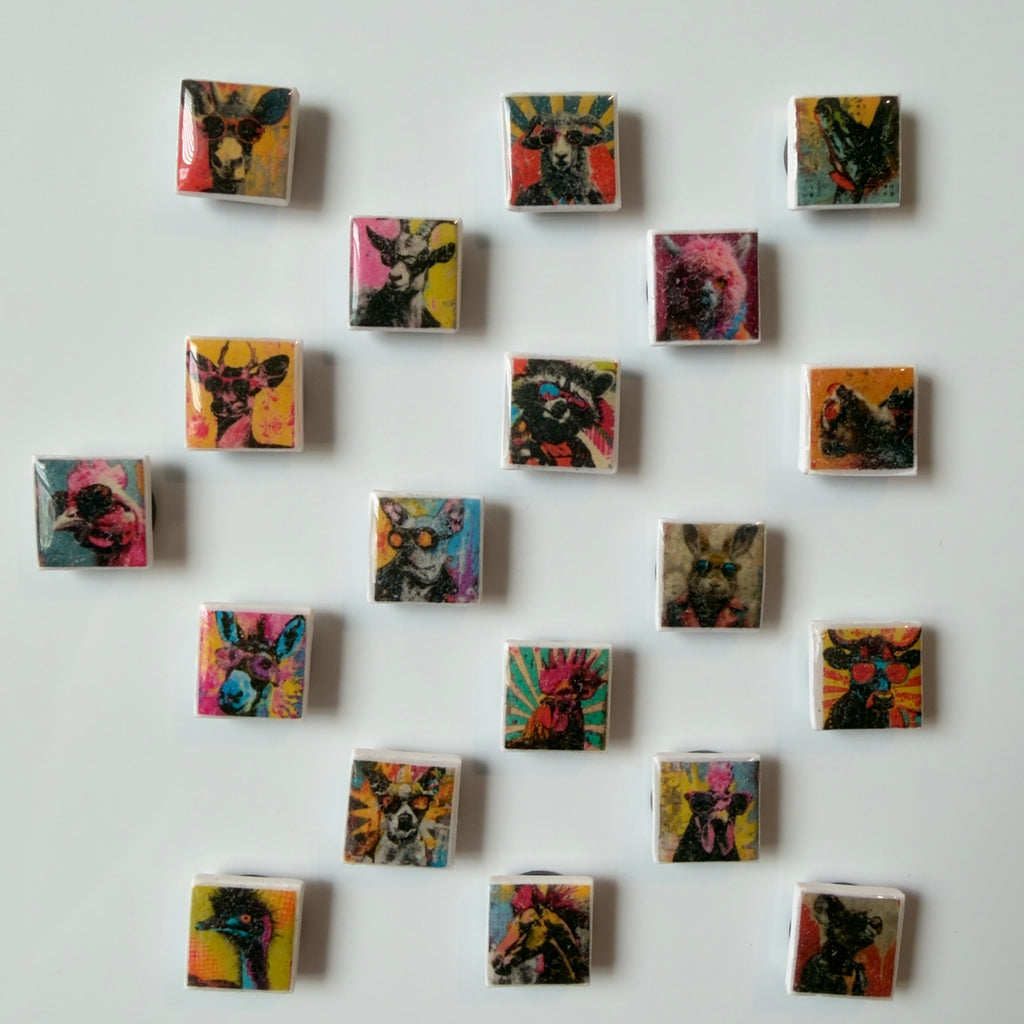 Wild in Technicolor Mini Magnet Set - Set of 5