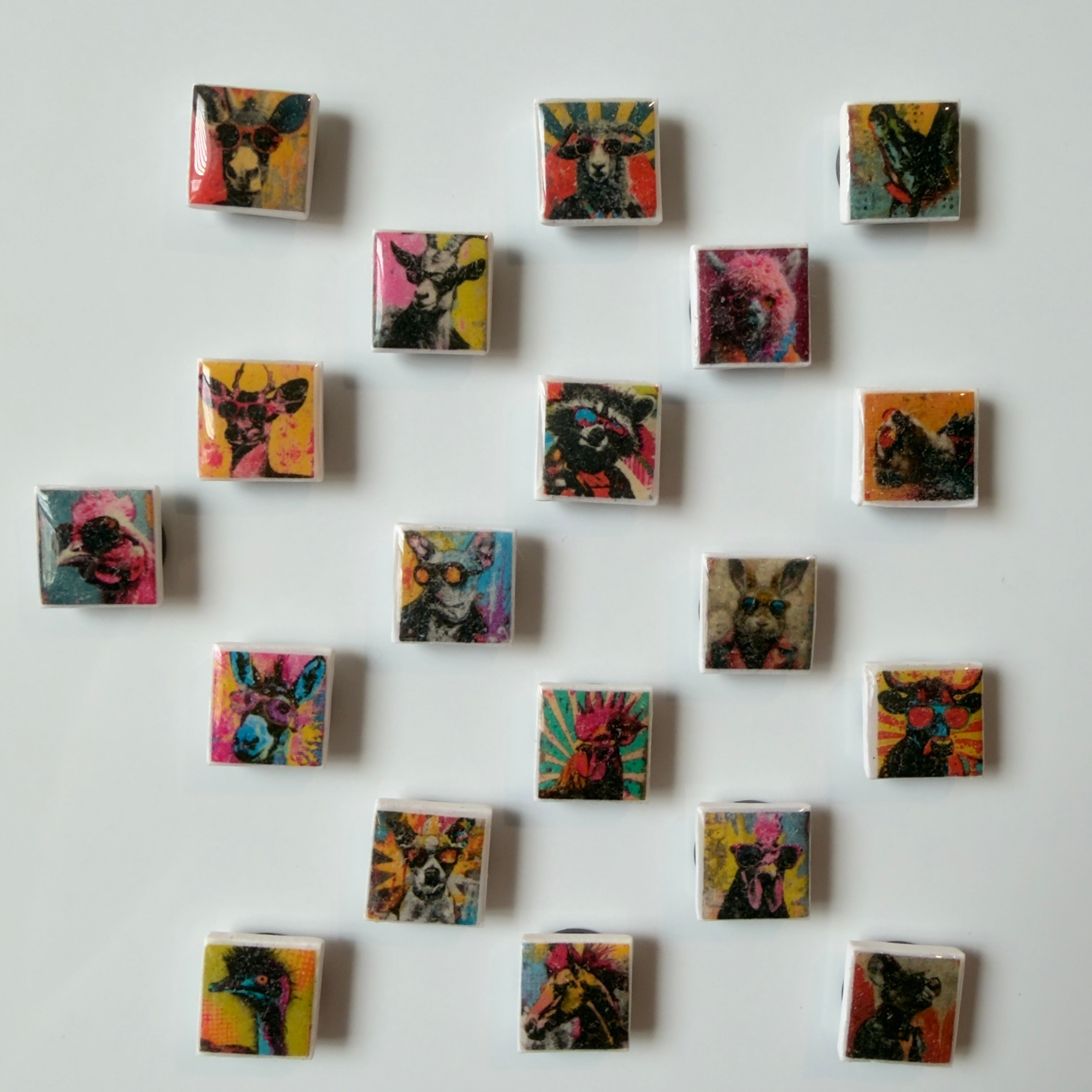 Wild in Technicolor Mini Magnet Set - Set of 5