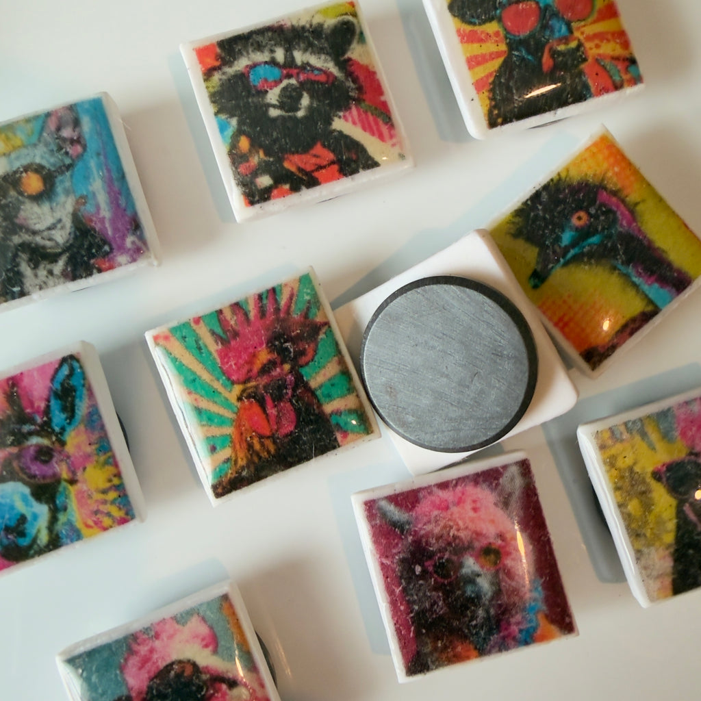 Wild in Technicolor Mini Magnet Set - Set of 5