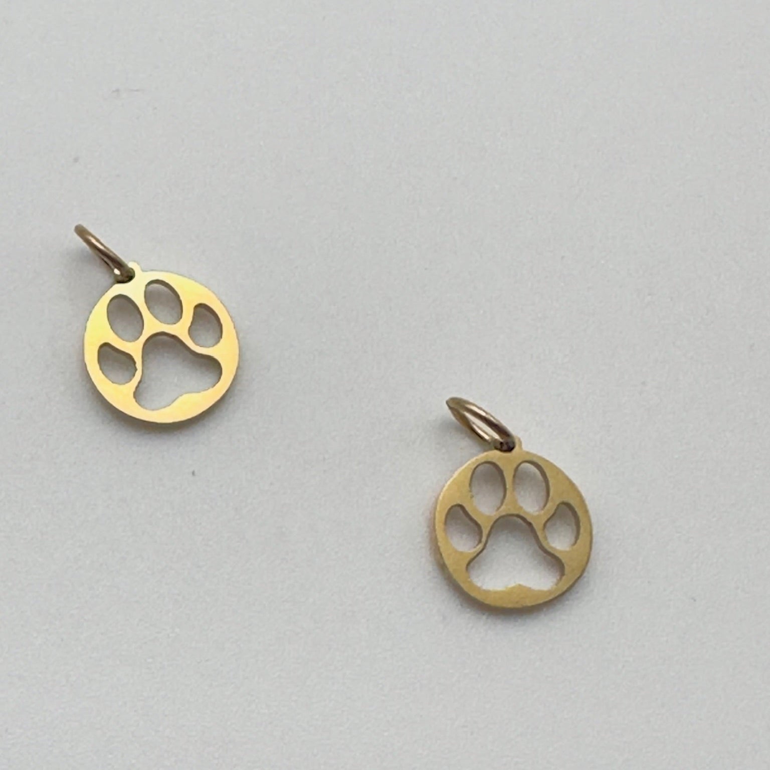 Pawprint Charm in Stainless Steel